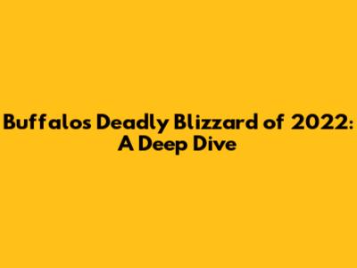 Buffalo's Deadly Blizzard of 2022: A Deep Dive