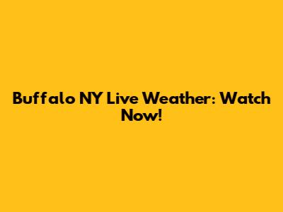 Buffalo NY Live Weather: Watch Now!