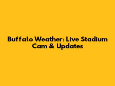 Buffalo Weather: Live Stadium Cam & Updates