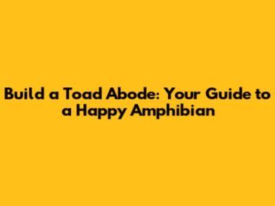 Build a Toad Abode: Your Guide to a Happy Amphibian
