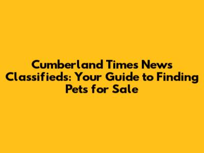 Cumberland Times News Classifieds: Your Guide to Finding Pets for Sale