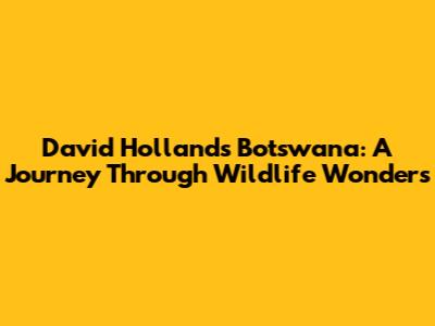 David Holland's Botswana: A Journey Through Wildlife Wonders