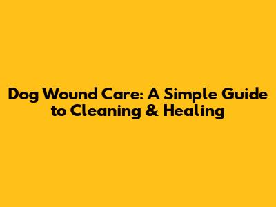 Dog Wound Care: A Simple Guide to Cleaning & Healing