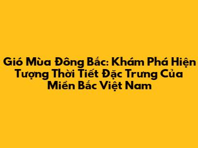 Gió Mùa Đông Bắc: Khám Phá Hiện Tượng Thời Tiết Đặc Trưng Của Miền Bắc Việt Nam