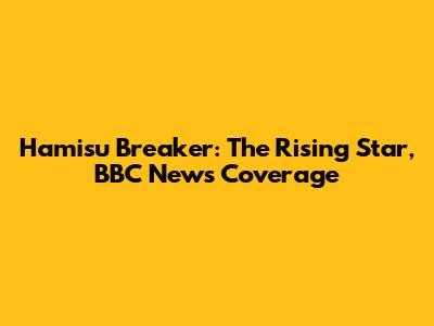 Hamisu Breaker: The Rising Star, BBC News Coverage