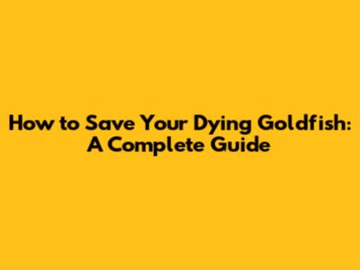 How to Save Your Dying Goldfish: A Complete Guide