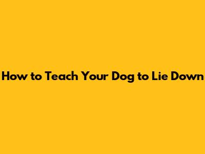 How to Teach Your Dog to Lie Down