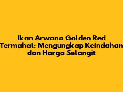 Ikan Arwana Golden Red Termahal: Mengungkap Keindahan dan Harga Selangit