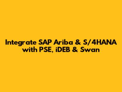 Integrate SAP Ariba & S/4HANA with PSE, iDEB & Swan