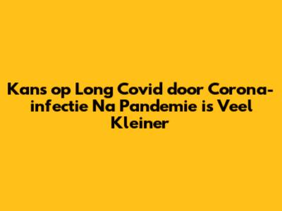 Kans op Long Covid door Corona-infectie Na Pandemie is Veel Kleiner