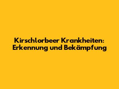 Kirschlorbeer Krankheiten: Erkennung und Bekämpfung