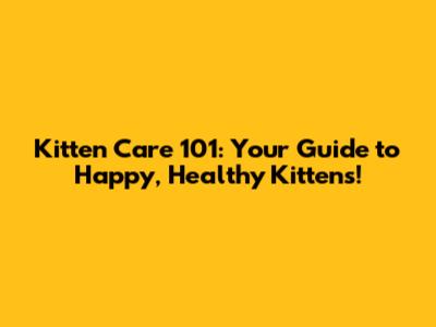 Kitten Care 101: Your Guide to Happy, Healthy Kittens!