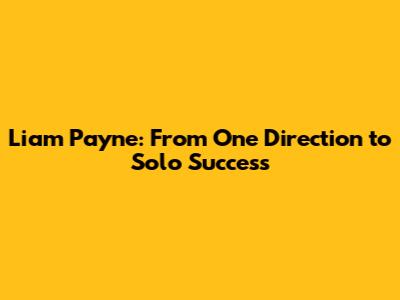 Liam Payne: From One Direction to Solo Success