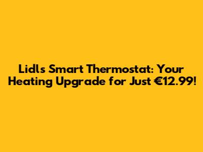 Lidl's Smart Thermostat: Your Heating Upgrade for Just €12.99!