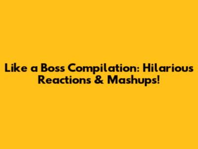 Like a Boss Compilation: Hilarious Reactions & Mashups!