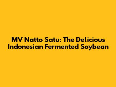MV Natto Satu: The Delicious Indonesian Fermented Soybean