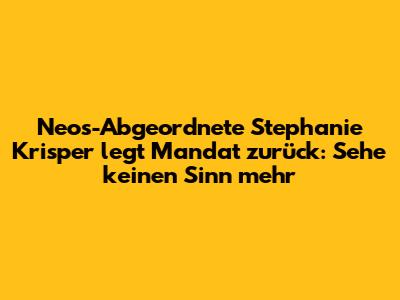 Neos-Abgeordnete Stephanie Krisper legt Mandat zurück: "Sehe keinen Sinn mehr"