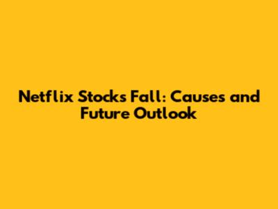 Netflix Stock's Fall: Causes and Future Outlook