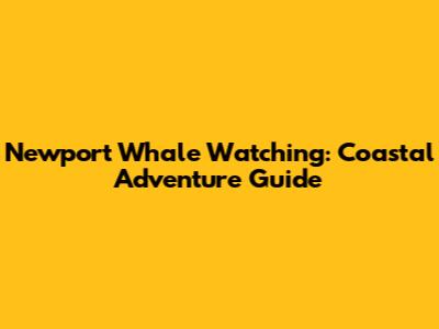 Newport Whale Watching: Coastal Adventure Guide