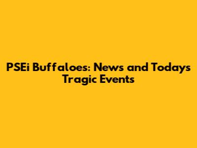 PSEi Buffaloes: News and Today's Tragic Events