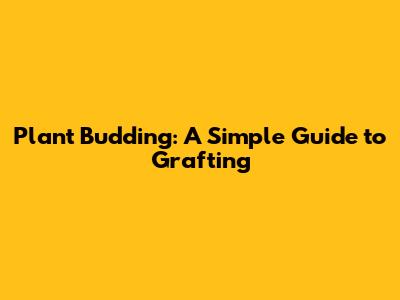 Plant Budding: A Simple Guide to Grafting