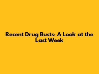 Recent Drug Busts: A Look at the Last Week