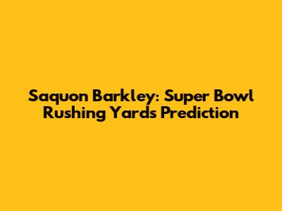 Saquon Barkley: Super Bowl Rushing Yards Prediction