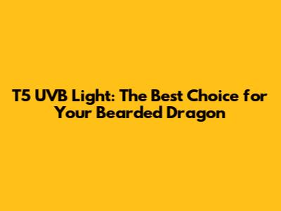 T5 UVB Light: The Best Choice for Your Bearded Dragon