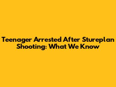 Teenager Arrested After Stureplan Shooting: What We Know