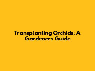 Transplanting Orchids: A Gardener's Guide