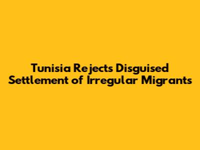 Tunisia Rejects 'Disguised Settlement' of Irregular Migrants