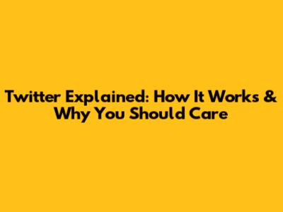 Twitter Explained: How It Works & Why You Should Care