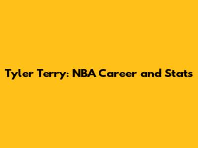 Tyler Terry: NBA Career and Stats
