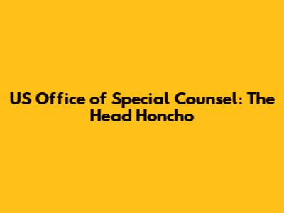 US Office of Special Counsel: The Head Honcho