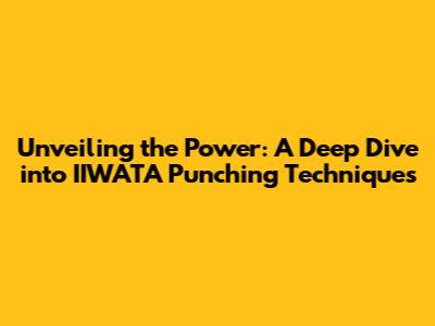 Unveiling the Power: A Deep Dive into IIWATA Punching Techniques