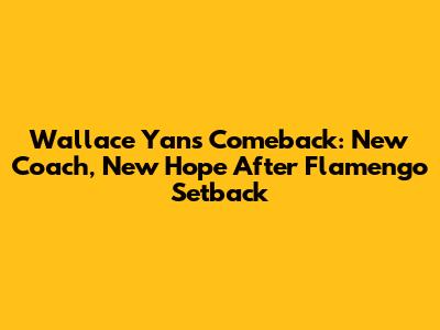 Wallace Yan's Comeback: New Coach, New Hope After Flamengo Setback
