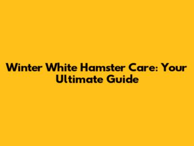 Winter White Hamster Care: Your Ultimate Guide