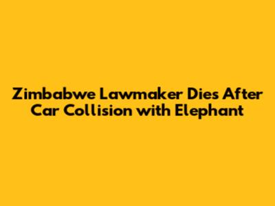 Zimbabwe Lawmaker Dies After Car Collision with Elephant